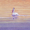 R. Geoffrey Blackburn Floating Bird oil painting detail link